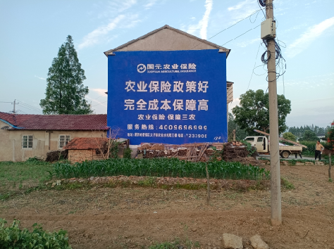 灌阳墙体广告的优劣势你知道吗？